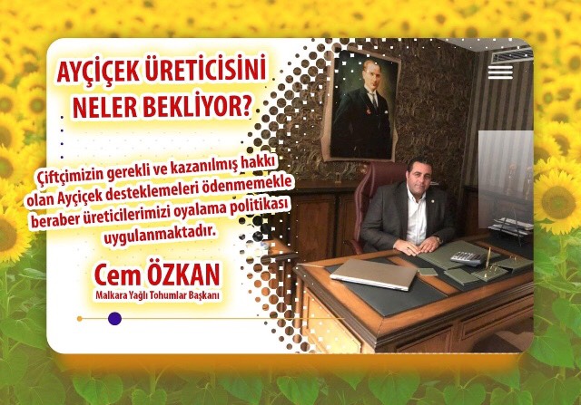 AYÇİÇEK ÜRETİCİSİNİ NELER BEKLİYOR