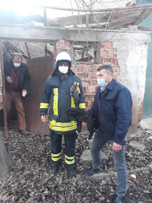 MALKARA BELEDİYESİ HER TÜRLÜ YAŞAMIN DESTEKÇİSİ