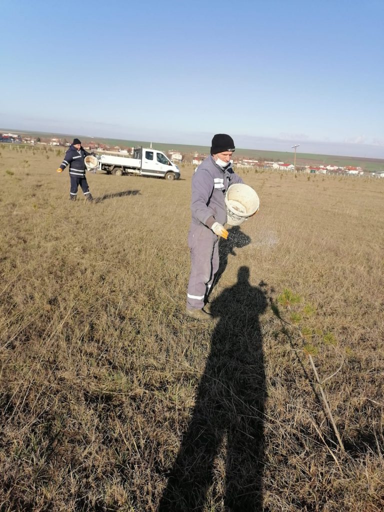 ERGENE BLD.FİDANLARA CAN VERDİ
