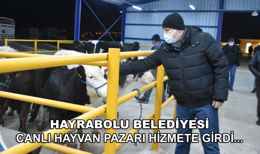 HAYRABOLU’YA CANLI HAYVAN PAZARI