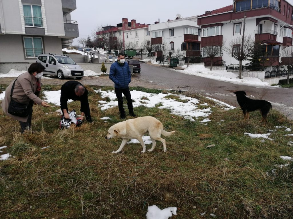 MALKARA KENT KONSEYİ SOKAK HAYVANLARINI UNUTMADI