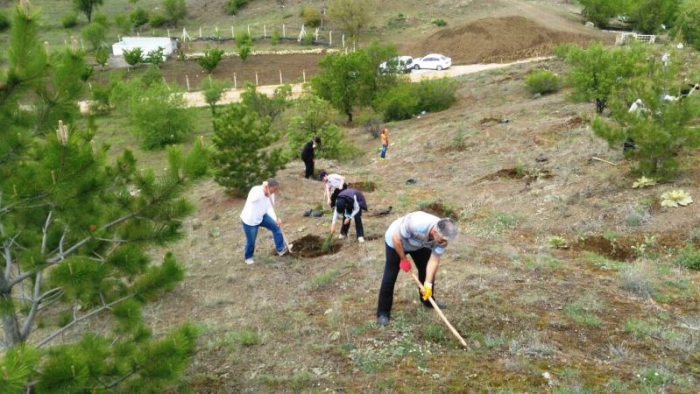 LÜLEBURGAZDA 300 FİDAN 57.ALAY ANISINA DİKİLDİ