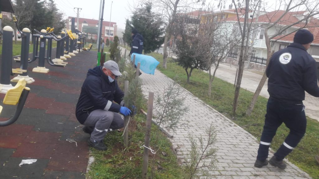ERGENE BELEDİYESİ HEM AĞAÇ DİKİYOR HEM DE BAKIM YAPIYOR