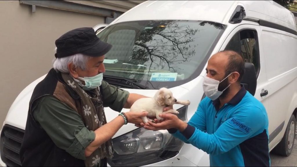 AVCILAR, ARAMA KURTARMA TİM’İNE YAVRU AV KÖPEĞİ HEDİYE ETTİ