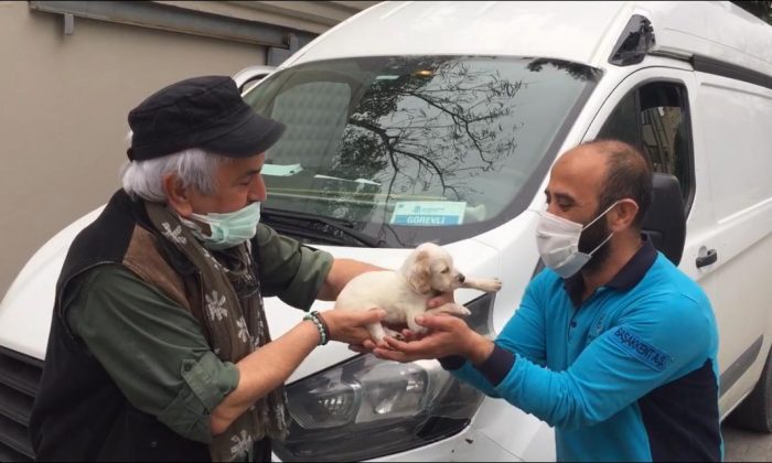 AVCILAR, ARAMA KURTARMA TİM’İNE YAVRU AV KÖPEĞİ HEDİYE ETTİ
