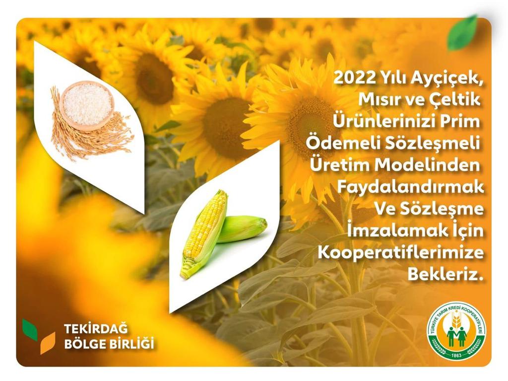 TARIM KREDİ KOOPERATİFLERİNDEN ÇİFTÇİYE İLAVE PRİM DESTEĞİ