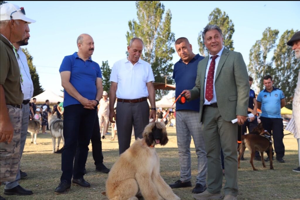 MARMARAEREĞLİSİ’NDE KÖPEKLER İÇİN ‘ULUSLARARASI IRK STANDARTLARI YARIŞMASI’ DÜZENLENDİ