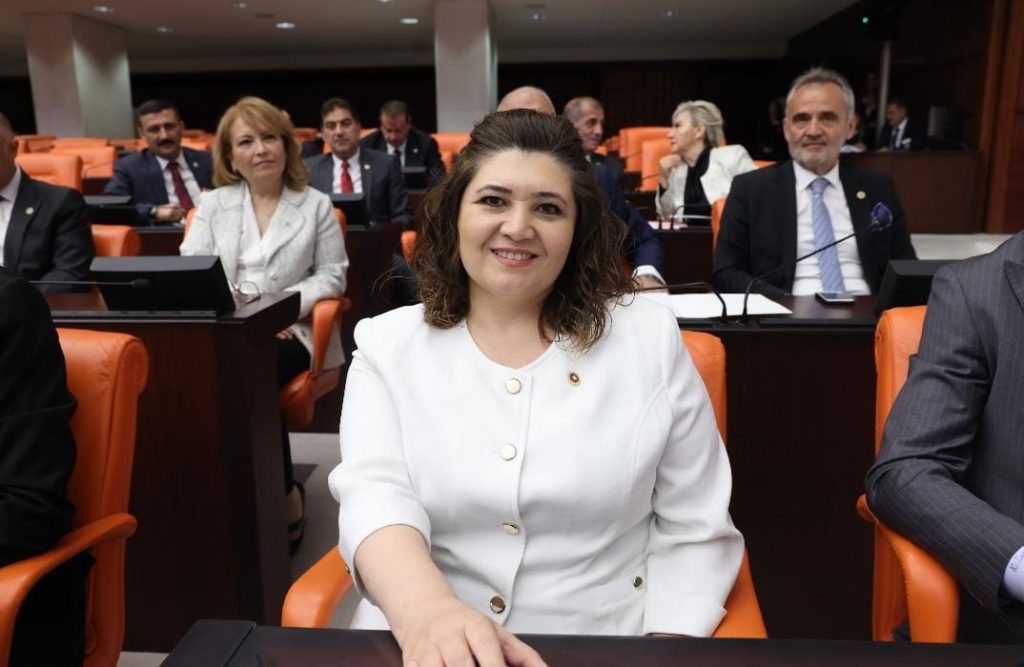 İYİ PARTİ VEKİLİ HAMŞİOĞLU ÇEVRE BAKANINA SORDU